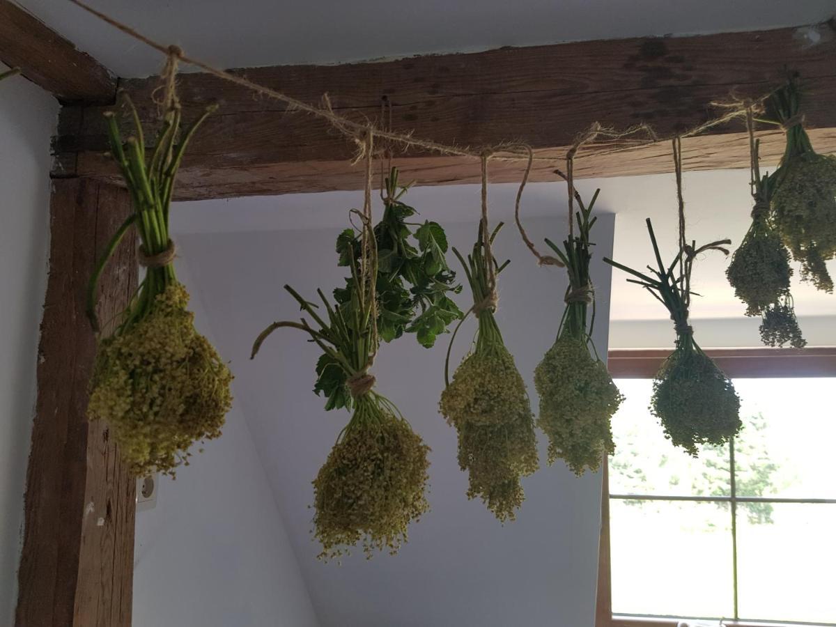Pokoje Goscinne Art- Dworek Kudowa Zdroj Ngoại thất bức ảnh