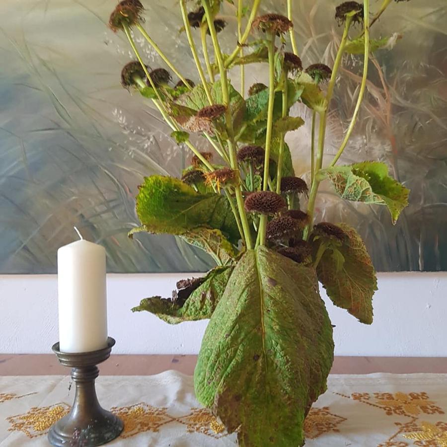 Pokoje Goscinne Art- Dworek Kudowa Zdroj Ngoại thất bức ảnh